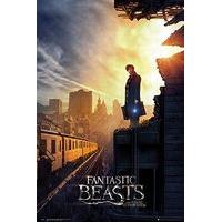 Fantastic Beasts One Sheet 2 Maxi Poster, 61 x 91.5cm