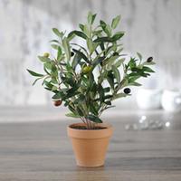 Faux Olive Bush - Gift - 1 x Fau...