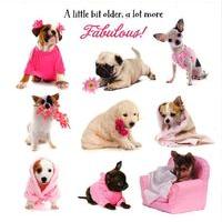 Fabulous pink puppies birthday card