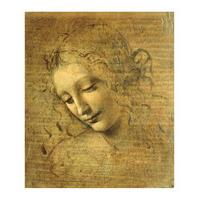 Face of a Young Woman By Leonardo da Vinci