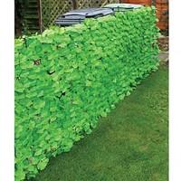 Faux Ivy Fencing