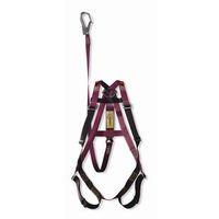 FALL ARREST HARNESS C/W ENERGY ABSORBING LANYARD & KARABINER