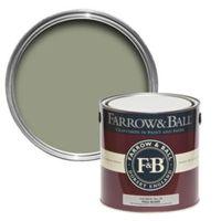 Farrow & Ball Interior & Exterior Lichen No.19 Gloss Paint 2.5L