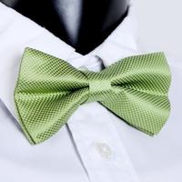 Fashion Men\'s Tuxedo Bowtie Solid Color Neckwear Adjustable Wedding Party Bow Tie Necktie Pre-Tied Lime Green