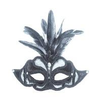 Fancy Dress - Feathered Mask
