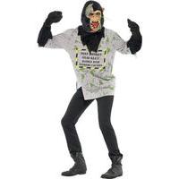 Fancy Dress - Monkey Mutant Costume