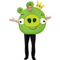 Fancy Dress - Angry Birds Green Pig Costume