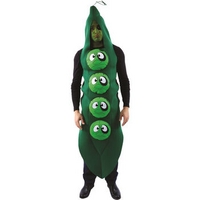 Fancy Dress - Black Eyed Peas Costume