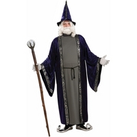 Fancy Dress - Wizard Costume (Plus Size)