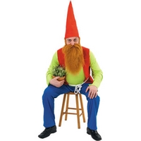 Fancy Dress - Sneezy Gnome Costume