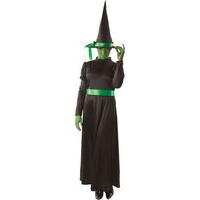 Fancy Dress - Wicked Witch Outfit