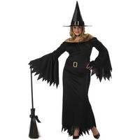 Fancy Dress - Elegant Witch Costume (Plus Size)