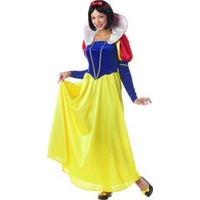 Fancy Dress - Snow White Costume