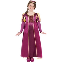 fancy dress child tudor girl costume