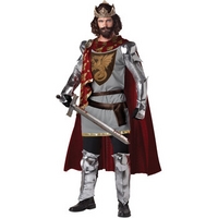 fancy dress king arthur costume