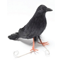 Fancy Dress - Feather Raven Bird