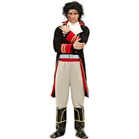 fancy dress prince charming costume