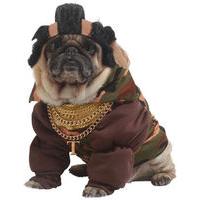 fancy dress pity the fool dog costume