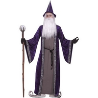 Fancy Dress - Wizard Costume