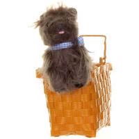 Fancy Dress - Toto In A Basket