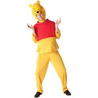 Fancy Dress - Winnie the Pooh Costume