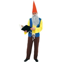 Fancy Dress - Grumpy Gnome Costume