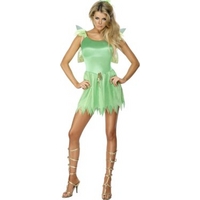 Fancy Dress - Woodland Fairy Costume