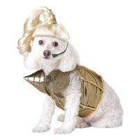 Fancy Dress - 90s Pop Diva Dog Costume