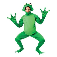 Fancy Dress - Frog Costume