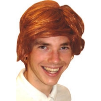 fancy dress ginger tony wig