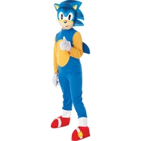 Fancy Dress - Child Sonic the Hedgehog Costume