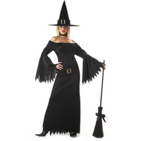 fancy dress elegant witch costume