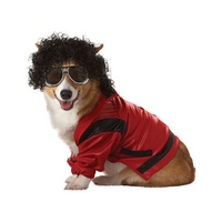 fancy dress pop king dog costume