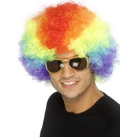 fancy dress economy clown wig in rainbow