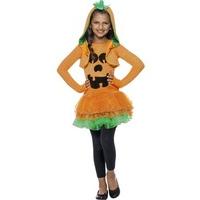 fancy dress pumpkin tutu dress costume