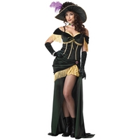 Fancy Dress - Saloon Madame Costume