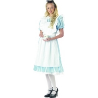 Fancy Dress - Alice in Wonderland Costume