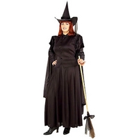 fancy dress classic witch costume plus size