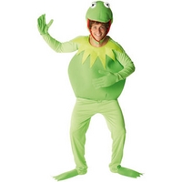 Fancy Dress - The Muppets Kermit Costume