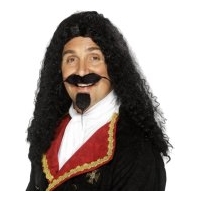 fancy dress king charles musketeer wig