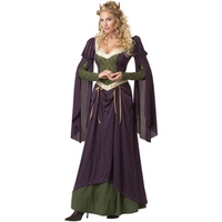 Fancy Dress - Medieval Lady in Waiting Costume