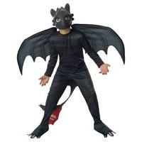 Fancy Dress - Child How to Train Your Dragon Toothless Night Fury Costume