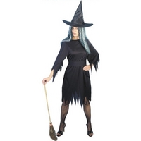 Fancy Dress - Halloween Economy Witch Costume