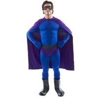 fancy dress blue and purple crusader superhero costume