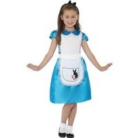 Fancy Dress - Wonderland Princess Costume