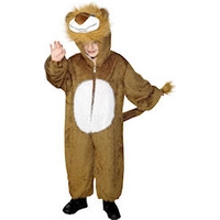 fancy dress child lion costume