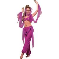 Fancy Dress - Deluxe Arabian Princess (Fuchsia)