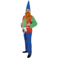 Fancy Dress - Dopey Gnome Costume