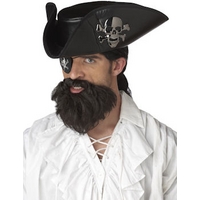 fancy dress the captains beard brown