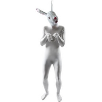 fancy dress rabbit morphsuit